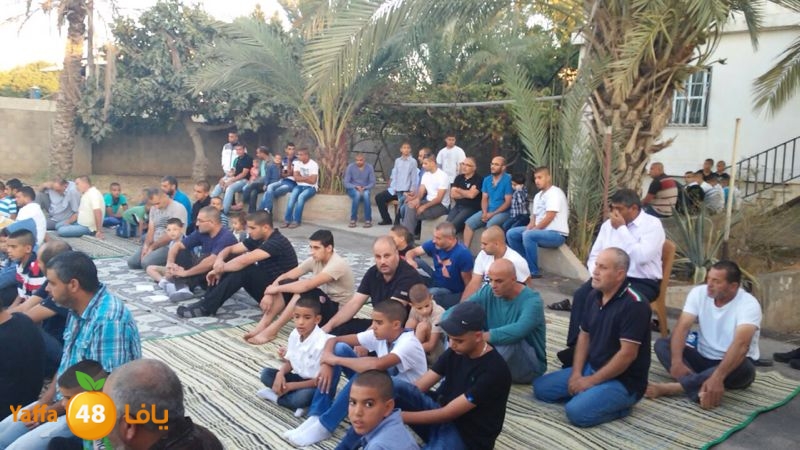 dahmash e33ed (5).JPG